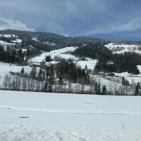 Guest house Mountain View 2*