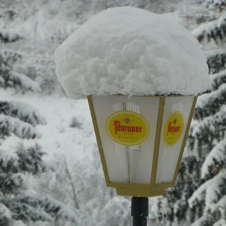Mountain View Guest house Grosskirchheim