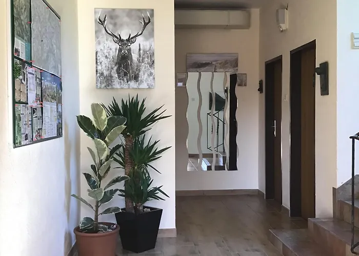 Pensjonat Mountain View Großkirchheim