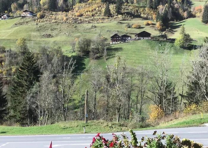 Mountain View Pensjonat 3*